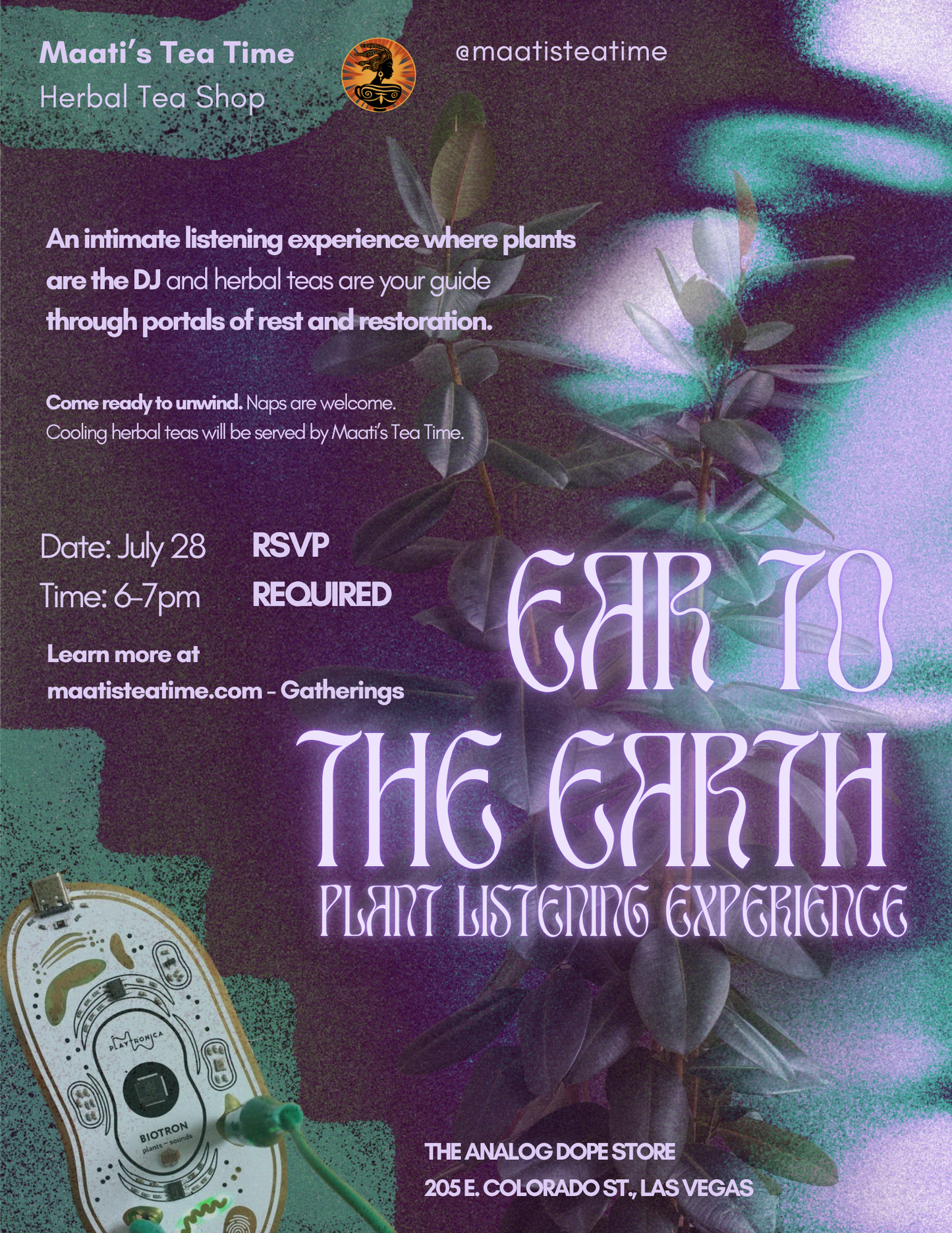 Ear to the Earth: Plant Listening Experience