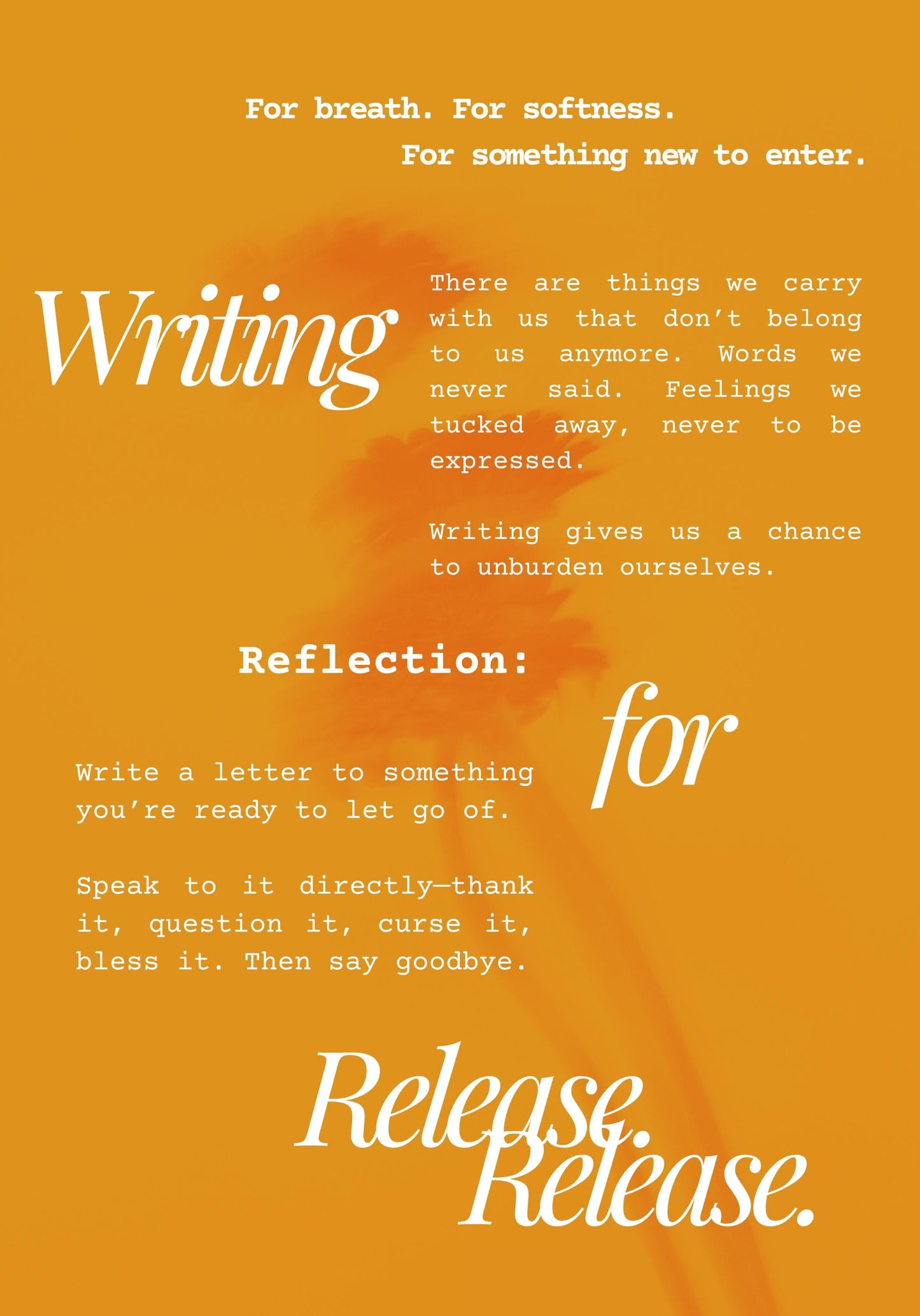 Variety Zines | Maati's House